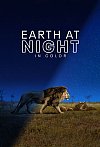 Earth at Night in Color (1ª Temporada)